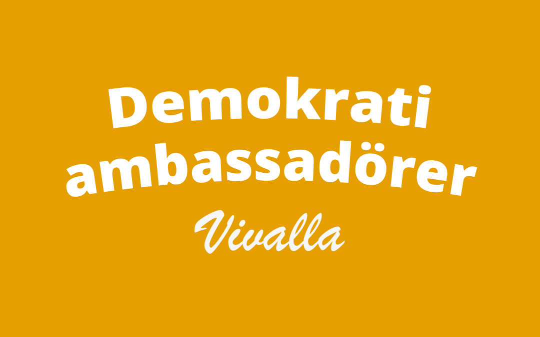 Demokratiambassadörer i Vivalla